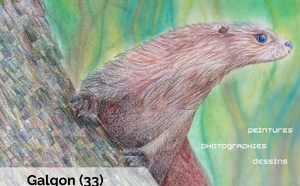 L'exposition Natura'rt est à GALGON du 27 septembre au 10 octobre