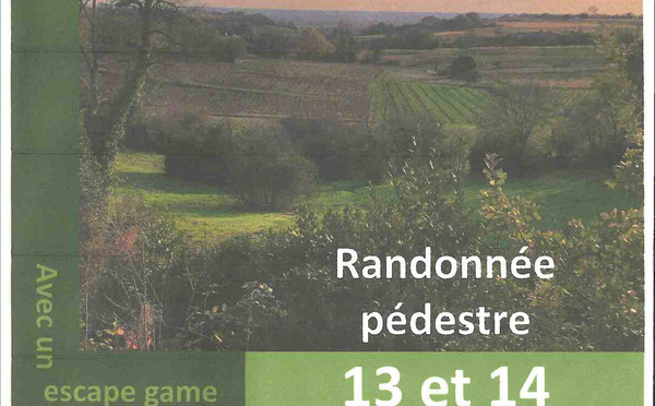 Ronde des vignobles 2026 les 13&amp;14 juin 2026